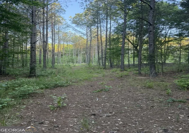 2nd image of 0 Old Rico Rd, Chattahoochee Hills, GA 30268 | MLS# 10768283
