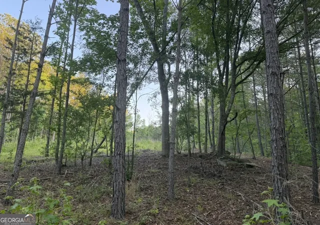 Photo 3 of Land for sale at 0 Old Rico Rd, Palmetto, GA 30268 | MLS# 10768283 | Listing updated on 2026-09-16