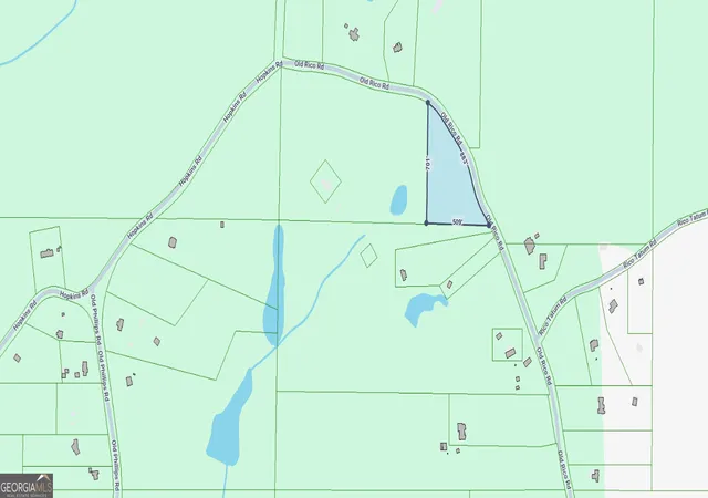 4th image of 0 Old Rico Rd, Chattahoochee Hills, GA 30268 | MLS# 10768283