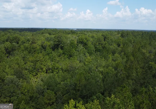 5th image of 3501 Charlie Smith Sr Hwy, Saint Marys, GA 31558 | MLS# 10570016