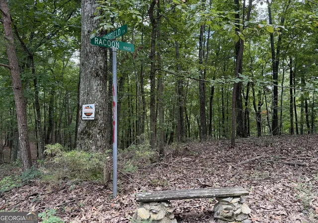 1st image of Lot 1065 Mayfield Ln, Ranger, GA 30734 | MLS# 10821914