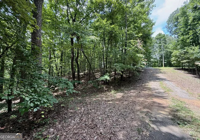 2nd image of Lot 1065 Mayfield Ln, Ranger, GA 30734 | MLS# 10821914