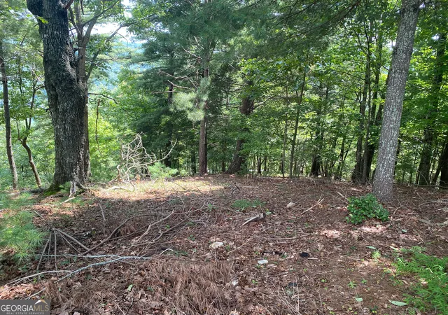 Photo 3 of Land for sale at Lot 29 Lake Rabun Bluffs Dr, Lakemont, GA 30552 | MLS# 10826073 | Listing updated on 2026-08-28