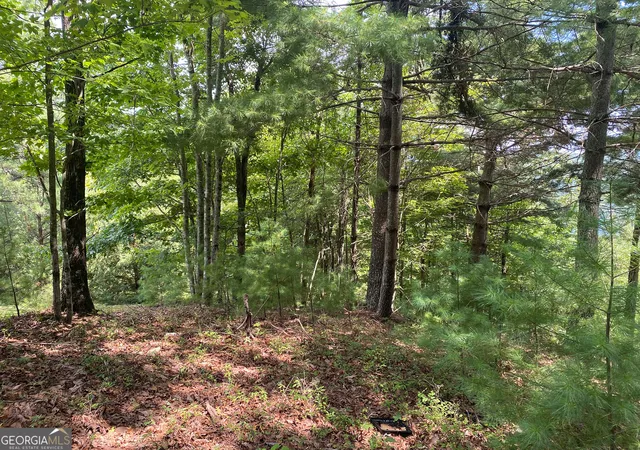 Photo 3 of Land for sale at Lot 29 Lake Rabun Bluffs Dr, Lakemont, GA 30552 | MLS# 10826073 | Listing updated on 2026-08-28