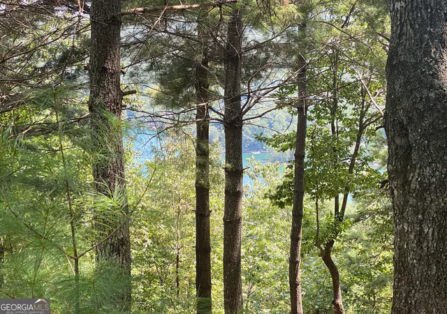 Photo 4 of Land for sale at Lot 29 Lake Rabun Bluffs Dr, Lakemont, GA 30552 | MLS# 10826073 | Listing updated on 2026-08-28