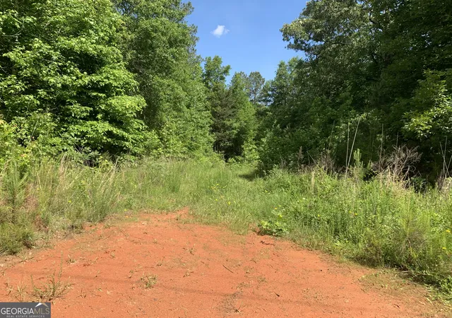Homes for sale in Elberton, GA | 1208 Hornets Bridge Dr, Elberton, GA 30635 | MLS# 10761032