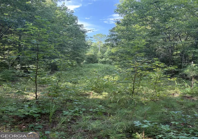 23rd image of 1208 Hornets Bridge Dr, Elberton, GA 30635 | MLS# 10761032