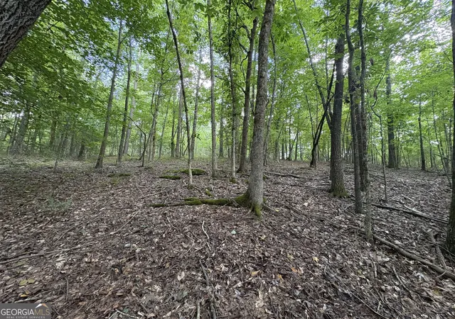 image of 1208 Hornets Bridge Dr, Elberton, GA 30635 | MLS# 10761032