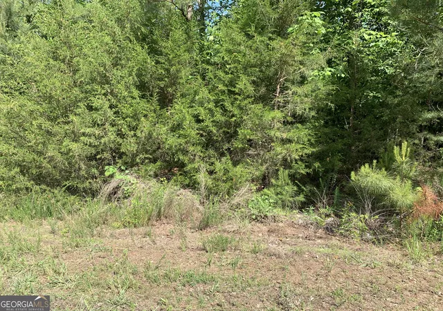 Homes for sale in Elberton, GA | 1208 Hornets Bridge Dr, Elberton, GA 30635 | MLS# 10761032