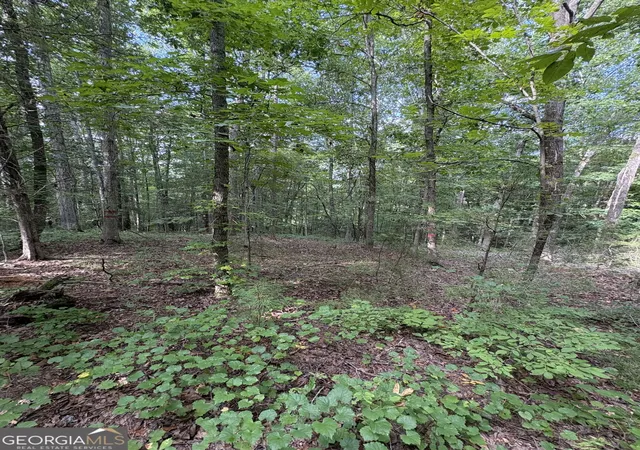image of 1208 Hornets Bridge Dr, Elberton, GA 30635 | MLS# 10761032