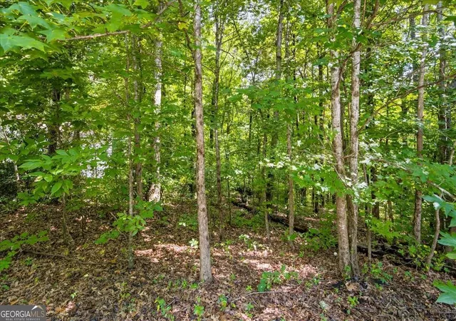 Photo 2 of Land for sale at 194 Gina Dr, Carrollton, GA 30116 | MLS# 10831044 | Listing updated on 2026-09-04