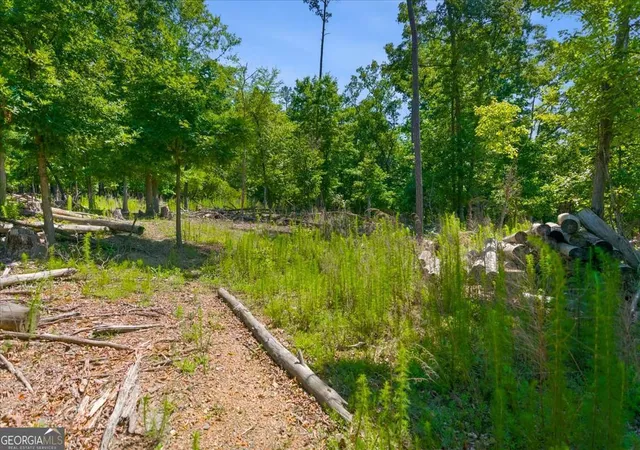 35th image of 0 Williams Rd Se, Silver Creek, GA 30173 | MLS# 10779897
