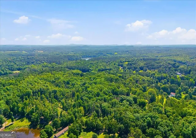 4th image of 0 Williams Rd Se, Silver Creek, GA 30173 | MLS# 10779897