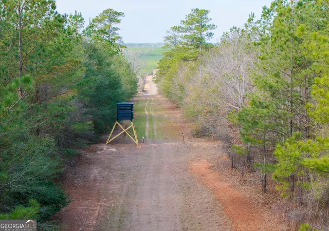 Photo 1 of Land for sale at 2729 Hadden Pond Rd, Avera, GA 30803 | MLS# 10692027 | Listing updated on 2026-09-12