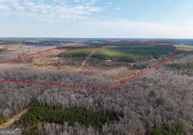 Photo 3 of Land for sale at 2729 Hadden Pond Rd, Avera, GA 30803 | MLS# 10692027 | Listing updated on 2026-09-12