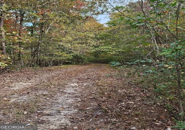 Photo 1 of Land for sale at 0 Fruit Farm Rd, Summerville, GA 30747 | MLS# 10669051 | Listing updated on 2026-04-01