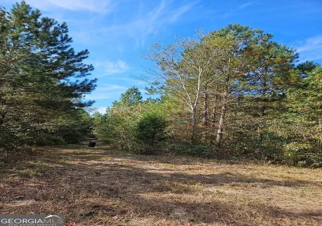 Photo 2 of Land for sale at 0 Fruit Farm Rd, Summerville, GA 30747 | MLS# 10669051 | Listing updated on 2026-04-01