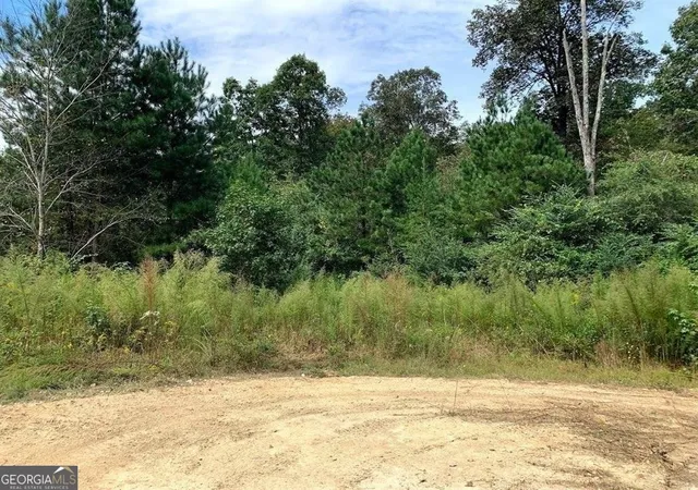 Photo 3 of Land for sale at 0 Fruit Farm Rd, Summerville, GA 30747 | MLS# 10669051 | Listing updated on 2026-04-01