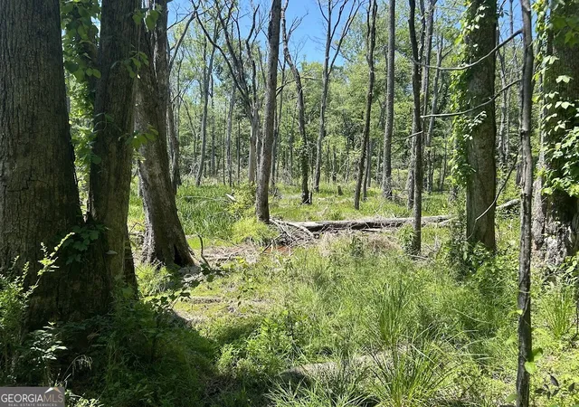11th image of 0 Old Draketown Trl, Temple, GA 30179 | MLS# 10774386