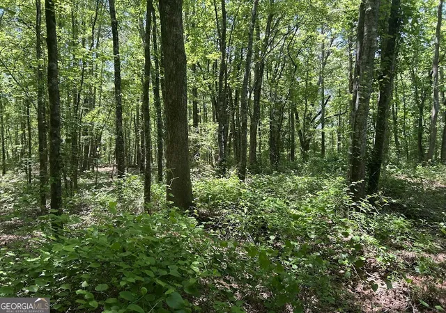 2nd image of 0 Old Draketown Trl, Temple, GA 30179 | MLS# 10774386