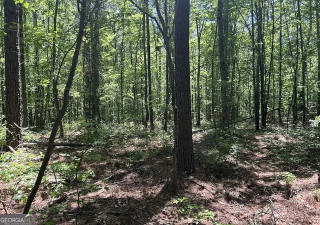 Photo 3 of Land for sale at 0 Old Draketown Trl, Temple, GA 30179 | MLS# 10774386 | Listing updated on 2026-06-12