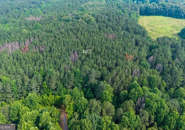 4th image of Lot 5 Hwy 136 Connector, Talking Rock, GA 30175 | MLS# 10804913