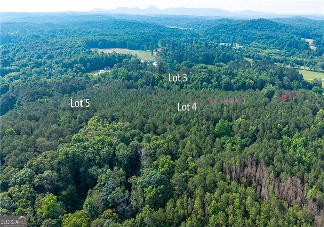 6th image of Lot 5 Hwy 136 Connector, Talking Rock, GA 30175 | MLS# 10804913