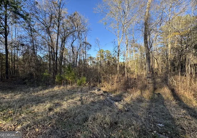 2nd image of 0 Kelly Rd, Macon, GA 31217 | MLS# 10793272