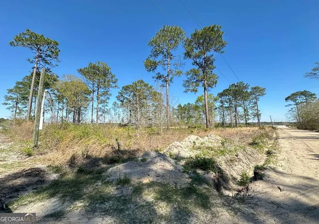2nd image of 0 Golf Rd, Baxley, GA 31513 | MLS# 10820646