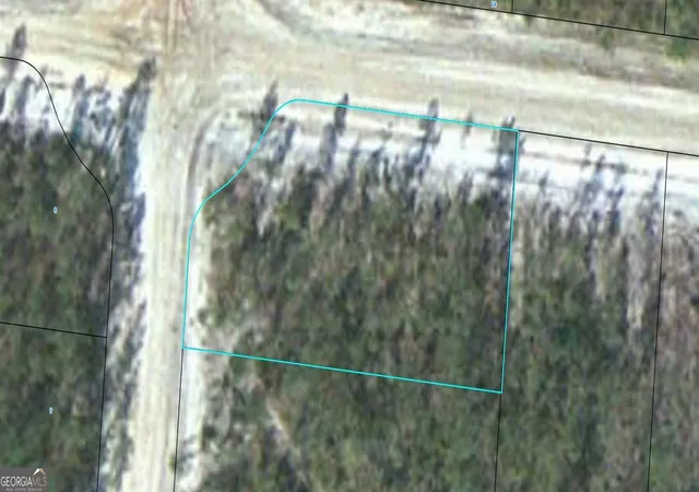 Land for sale at Lot 11 Satilla Plantation, Waynesville, GA 31566 | MLS# 10829565