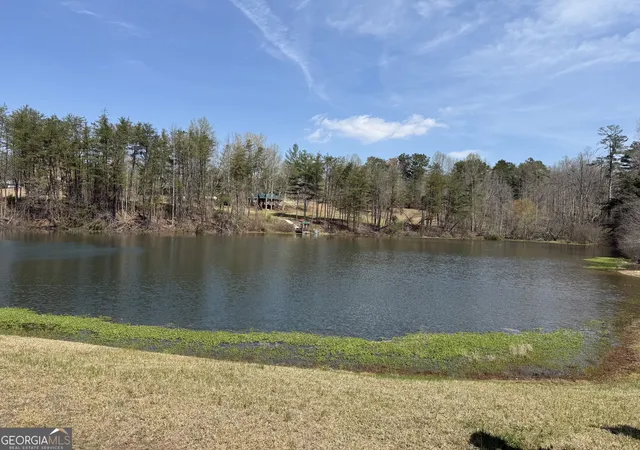 42nd image of 426 Skyview Cir, Clarkesville, GA 30523 | MLS# 10813766