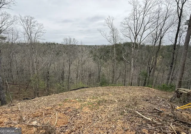 Homes for sale in Ellijay, GA | 135 Flat Ridge Rd, Ellijay, GA 30540 | MLS# 10732059