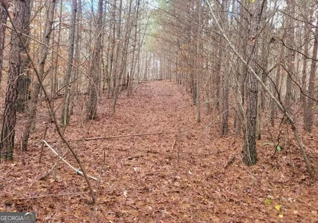 Photo 1 of Land for sale at 1822 Talona Rd, Ellijay, GA 30536 | MLS# 10775865 | Listing updated on 2026-06-15