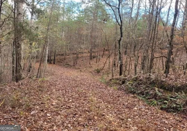 Photo 2 of Land for sale at 1822 Talona Rd, Ellijay, GA 30536 | MLS# 10775865 | Listing updated on 2026-06-15