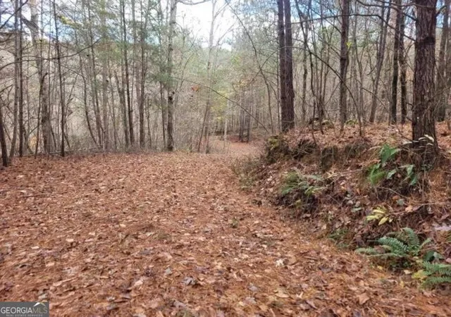 Photo 2 of Land for sale at 1822 Talona Rd, Ellijay, GA 30536 | MLS# 10775865 | Listing updated on 2026-06-15