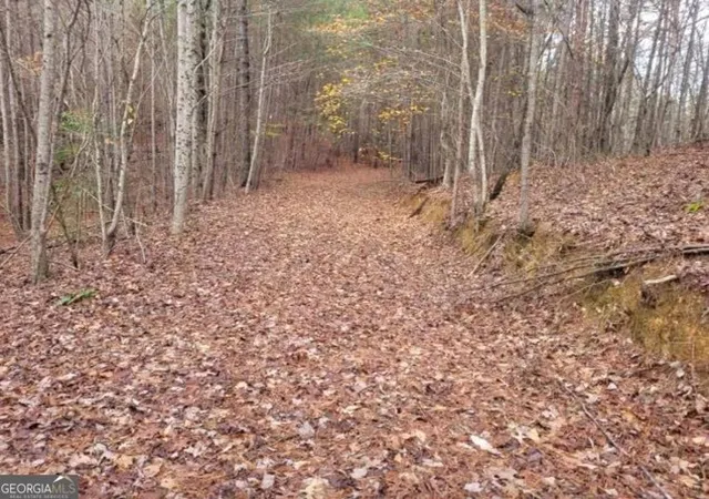 Photo 3 of Land for sale at 1822 Talona Rd, Ellijay, GA 30536 | MLS# 10775865 | Listing updated on 2026-06-15