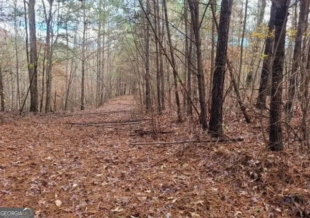 Photo 4 of Land for sale at 1822 Talona Rd, Ellijay, GA 30536 | MLS# 10775865 | Listing updated on 2026-06-15