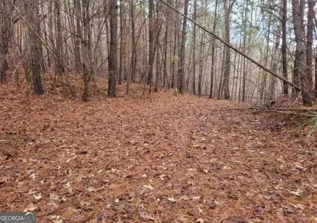 Photo 7 of Land for sale at 1822 Talona Rd, Ellijay, GA 30536 | MLS# 10775865 | Listing updated on 2026-06-15