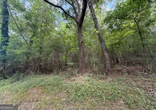Photo 3 of Land for sale at 280 Nixon Rd, Summerville, GA 30747 | MLS# 10795329 | Listing updated on 2026-07-13