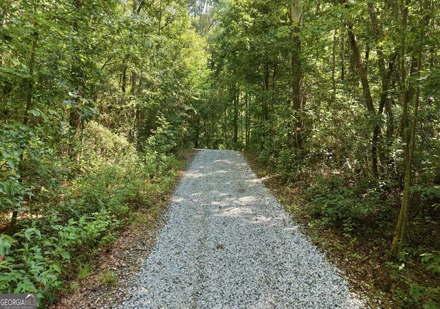 54th image of 157 Dusty Trl, Toccoa, GA 30577 | MLS# 10829198