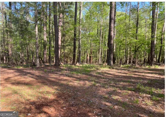 Homes for sale in Greensboro, GA | 1021 Charles Ct, Greensboro, GA 30642 | MLS# 10776558