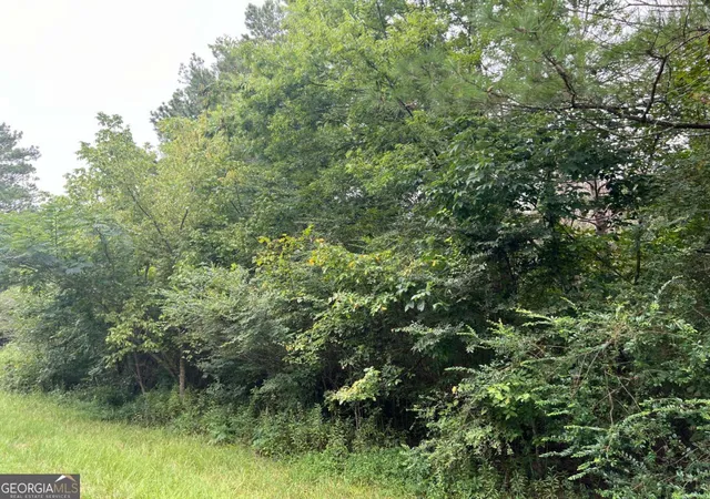 Photo 2 of Sale Pending at 0 Kirk Rd Nw #1, White, GA 30184 | MLS# 10582149 | Listing updated on 2026-03-03
