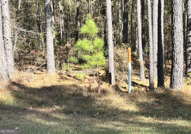 Photo 3 of Land for sale at Lot #41 Mariners Way, Lincolnton, GA 30817 | MLS# 10812629 | Listing updated on 2026-08-07