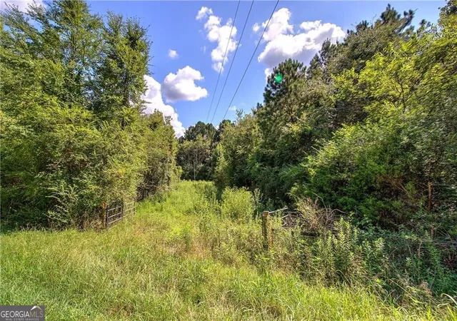 2nd image of 000 Crowe Springs Spur, Adairsville, GA 30103 | MLS# 10822311