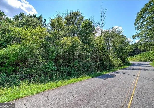 Photo 3 of Land for sale at 000 Crowe Springs Spur, Adairsville, GA 30103 | MLS# 10822311 | Listing updated on 2026-08-23