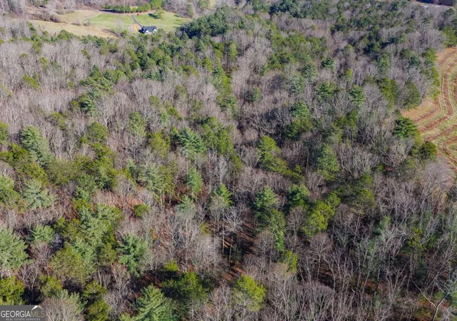 Photo 3 of Land for sale at 368 Ac Pleasant Oak Trl #3 & 4, Ellijay, GA 30540 | MLS# 10675889 | Listing updated on 2026-07-17