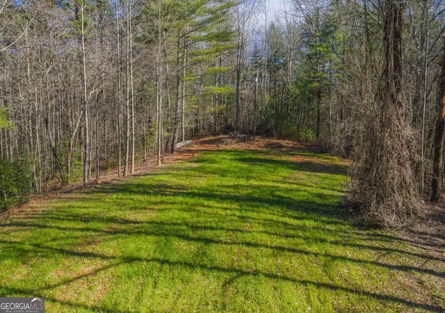 Photo 3 of Land for sale at 368 Ac Pleasant Oak Trl #3 & 4, Ellijay, GA 30540 | MLS# 10675889 | Listing updated on 2026-07-17