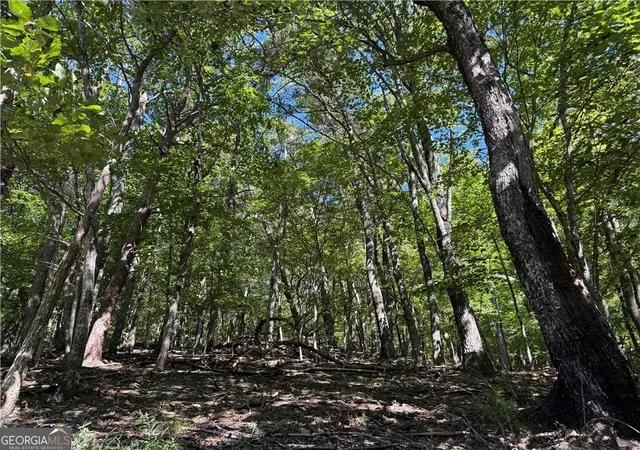 Photo 1 of Land for sale at 0 Moss Patch, Jasper, GA 30143 | MLS# 10634791 | Listing updated on 2025-12-30