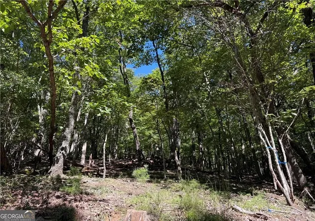 Photo 1 of Land for sale at 0 Moss Patch, Jasper, GA 30143 | MLS# 10634791 | Listing updated on 2025-12-30