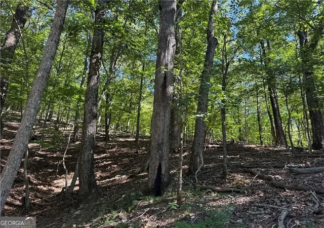Photo 2 of Land for sale at 0 Moss Patch, Jasper, GA 30143 | MLS# 10634791 | Listing updated on 2025-12-30